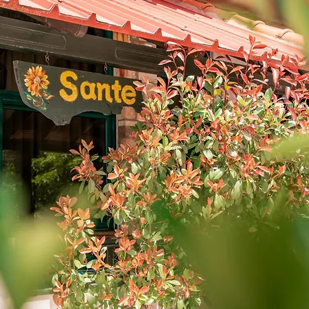 Sante Ξενοδοχείο με διαμερίσματα Kallithea (Chalkidiki)